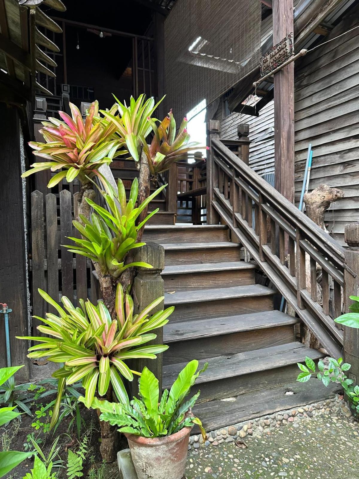 Cozy Nest Cnx Vandrarhem Chiang Mai Exteriör bild